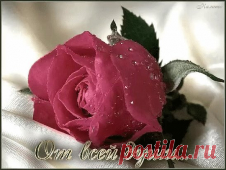 (12) Одноклассники