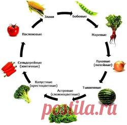 Тайны севооборота: Группа Наши грядки