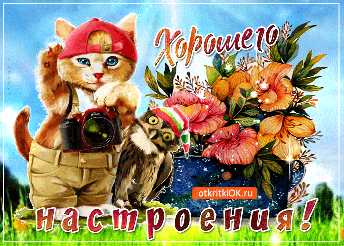 Картинка хорошего настроения
