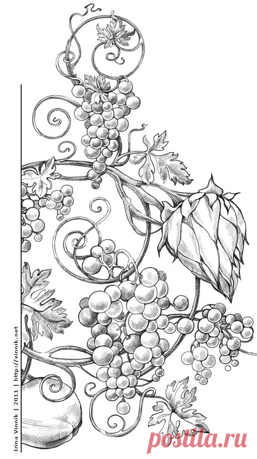 Coloring for adults - Kleuren voor volwassenen | рисунки