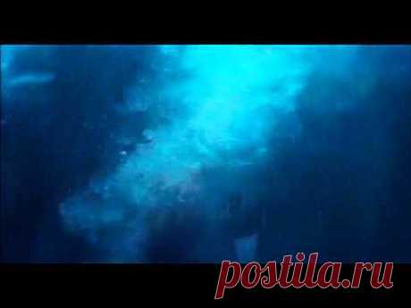 Где-то на белом свете - YouTube.
Где в мороз мечта лишь греет о лете,
Там, где снег и лед одни в белом свете, 
Полюс, где один из двух на планете –
Самый южный юг!
Где пучок меридиановых линий,
Где компАс прилип к оси стрелкой синей
 Где узором лег затейливо иней
 В заполярный круг.
Пусть пингвин – не перелетная птица,
Он к Экватору упорно стремится.
Ему рыба тепловодная снится –
Вместо льда песок…