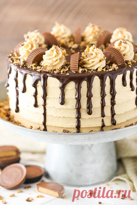 Арахисовое масло шоколадный корж - жизнь любовь и сахара Это арахисовое масло шоколадный слоеный пирог из слоев влажный шоколадный торт с арахисовым маслом глазурью и рублеными Риза! Он богат, очень вкусный и так весело! Принимая некоторые фотографии вчерашнего торта, мне это напомнило что-то, что узлы постоянно говорит мне, что и демонстрирует на боязливых взглядов в мою сторону – я ...