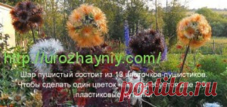 Шар из пластиковых бутылок | Урожайная дача, интернет журнал, все о даче