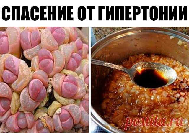 (47) Одноклассники