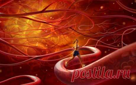 УЛУЧШАЕМ ТОНУС СОСУДОВ / Популярная медицина