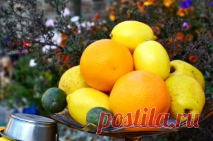 Почему при приёме кардиопрепаратов нельзя есть цитрусовые?