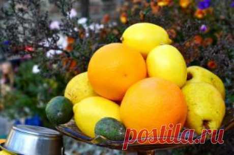 Почему при приёме кардиопрепаратов нельзя есть цитрусовые?