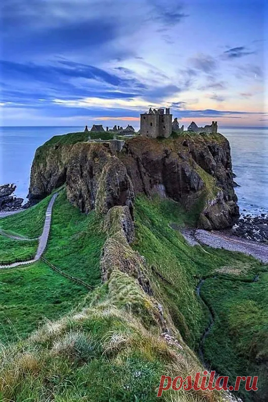 Google+
