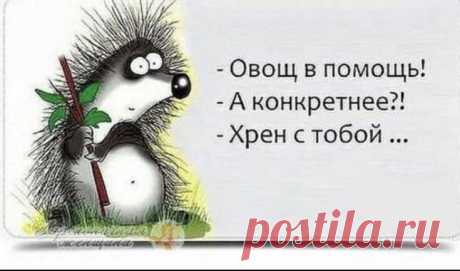 Pin page