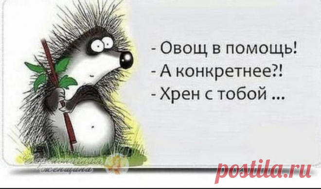 Pin page