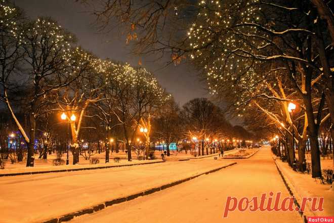 Фото: Обычное .... Фотограф Кирилл Гусев. Город. Фотосайт Расфокус.ру