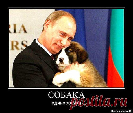 Марина