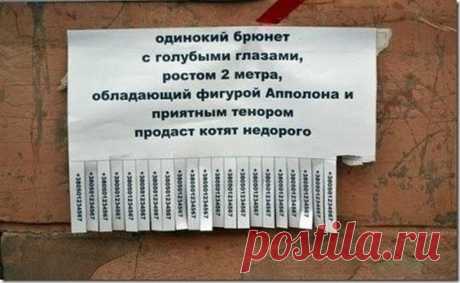 ВЕСЁЛАЯ ПЯТНИЦА. ШУТОЧНОЕ АССОРТИ