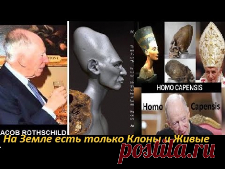 На Земле всего  две РАсы "Клоны" и "Живые".