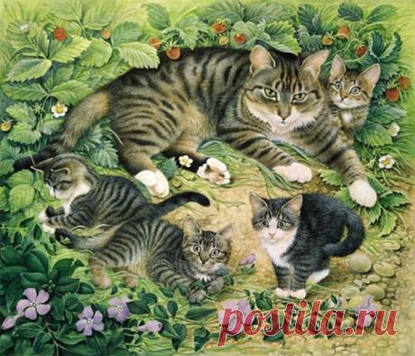 лесли энн айвори meet my cats - Поиск в Google