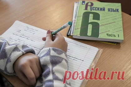 В России захотели выпустить отдельный учебник по русскому языку для детей мигрантов