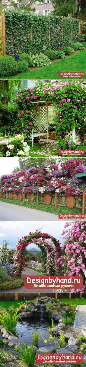 Вертикальное озеленение на даче и в интерьере. Выбираем растения