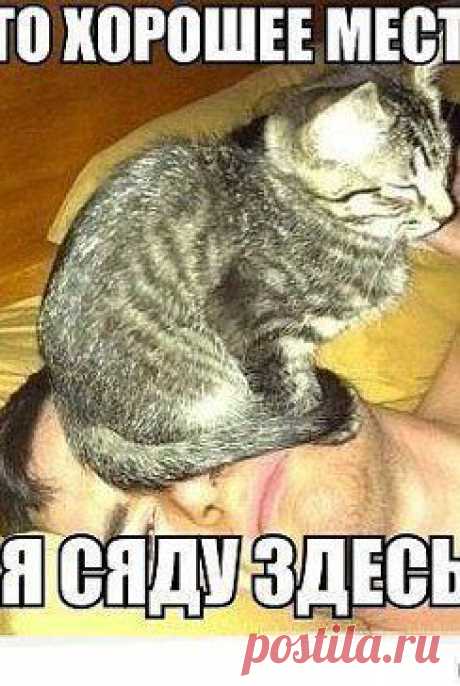 Одноклассники