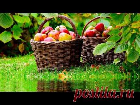 «Грустный сад в августе» 💢 Стихи Лидии Тагановой