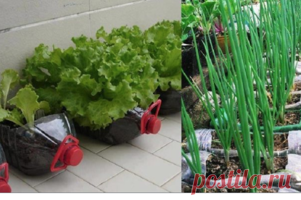 Самоделкино