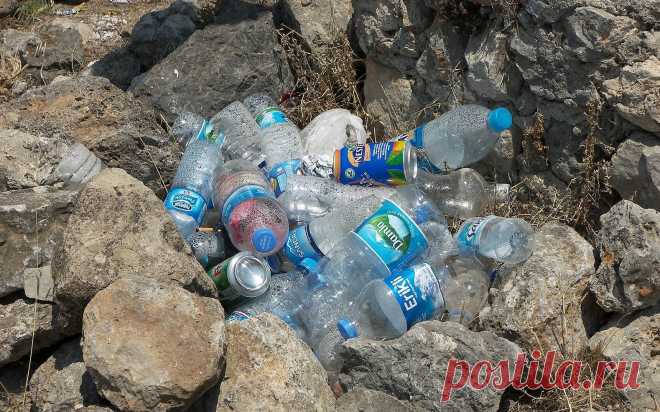 Вот почему нельзя повторно использовать пластиковую бутылку для воды, даже если вы ее помыли. Жуть! В летнюю жару особенно важно всегда иметь под рукой бутылку воды и много пить, чтобы поддерживать естественное охлаждение организма. Многие покупают воду, а затем используют пластиковые бутылки повторно, наливая туда ...