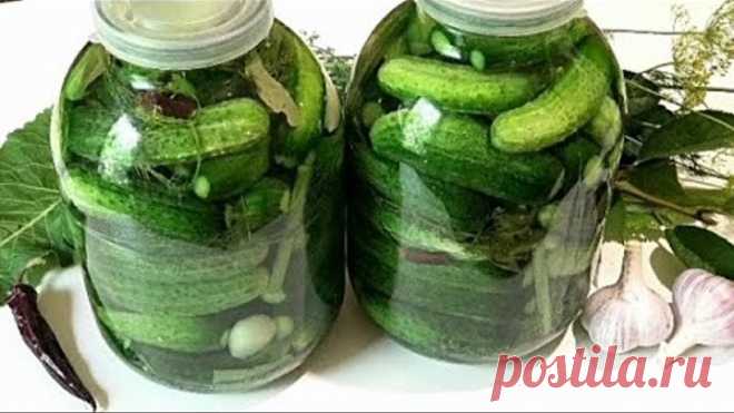 САМЫЙ ПРОСТОЙ способ засолки огурцов на зиму /Salted cucumbers