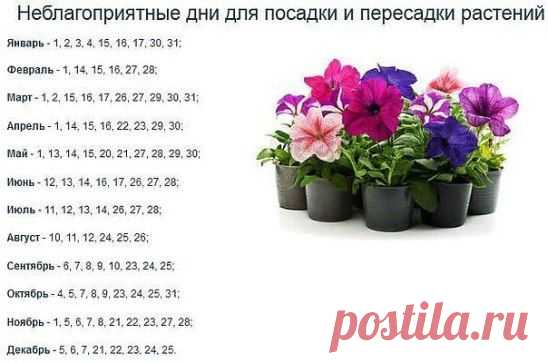 =)