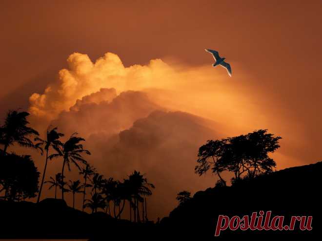 3695 by peter holme iii / 500px