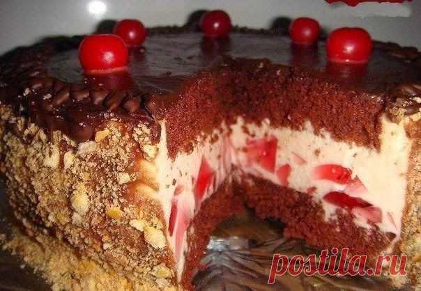 Самые вкусные рецепты: Вишневый торт с начинкой из желе и суфле