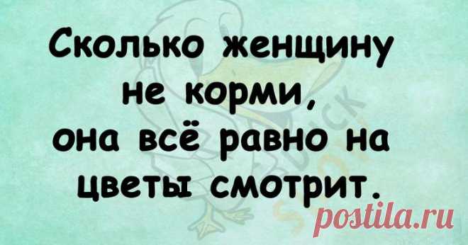 Самые смешные анекдоты и шутки на злобу дня Послушать веселые истории любят многие, но интереснее, когда штука состоит из нескольких коротких фраз. 
Короткие анекдоты просто и лаконично выражают авторскую мысль, при этом быстро и легко запомина...