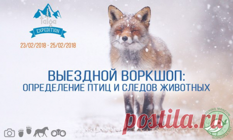 Вы знаете, как выглядит горностай? Сумеете отличить волчьи следы от собачьих? Узнаете ли птицу по голосу и оперению? На следующих выходных, с 23 по 25 февраля, можно научиться всем тонкостям лесной жизни в Окском биосмоферном заповеднике. Опытный орнитолог, сотрудник Биологического факультета МГУ и опытный полевой экскурсовод - Вероника Самоцкая из проекта Birdwatching Moscow - покажет в лесу птиц и научит распознавать их по пению и внешнему виду. А по вечерам ребята обещают научно-популярные…