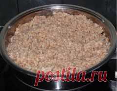 Блюда с грибами - рецепты | Надежда