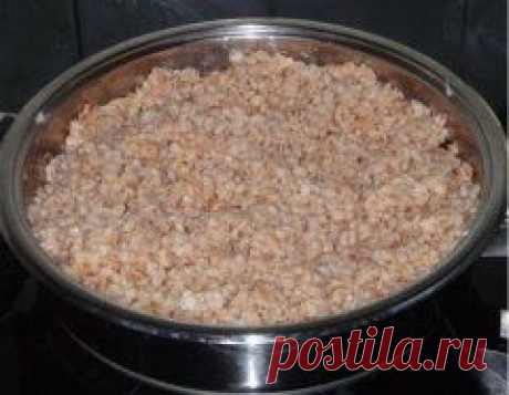 Блюда с грибами - рецепты | Надежда