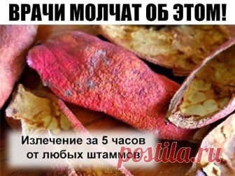ВРАЧИ МОЛЧАТ ОБ ЭТОМ!

Лекарство, которым исцелял еще сам Гиппократ!