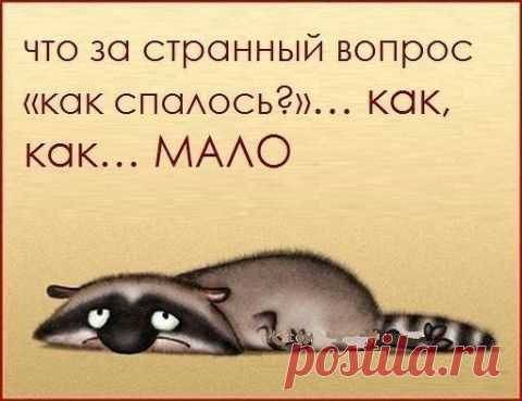 Радуйтесь каждой мелочи! |
