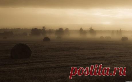 «Туманное утро»