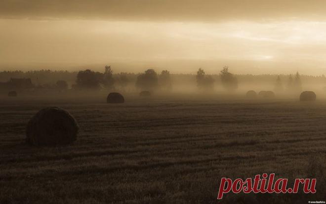 «Туманное утро»