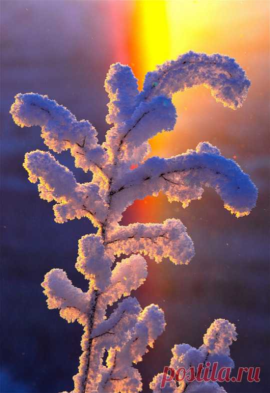 (1) Tumblr