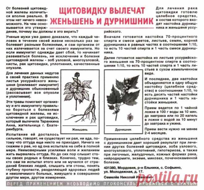 Щитовидку вылечат женьшень и дурнишник
