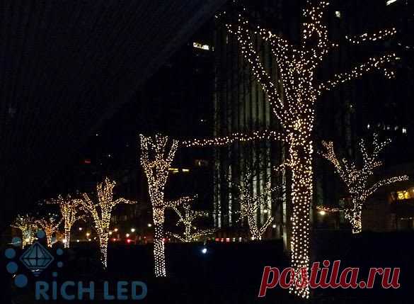 Светодиодные гирлянды Rich LED.