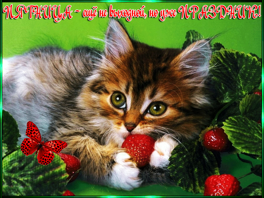 Открытки анимация Пятница | Открытки анимация