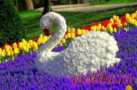 image (960×635)
