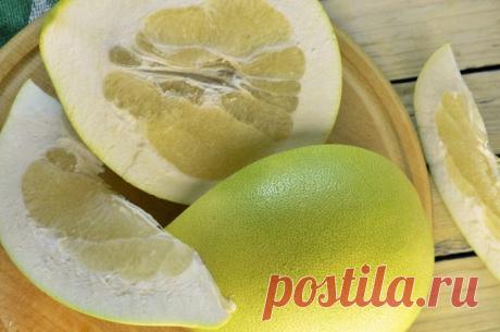 Полезные свойства помело
Чем полезен помело, кому лучше исключить его из рациона и можно ли есть этот цитрусовый беременным? Новогодний фрукт Помело иногда называют шеддоком в честь капитана Шеддока, который привез семена этого цитрусового в Вест-Индию с Малайского архипелага в 17 веке [1]. Его родиной считается Китай, где он символизирует благополучие и процветание. Традиционно в этой стране дарят […]
Читай пост далее на сайте. Жми ⏫ссылку выше