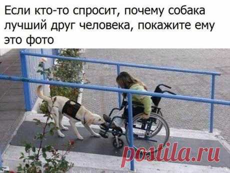 Злые мысли человечества