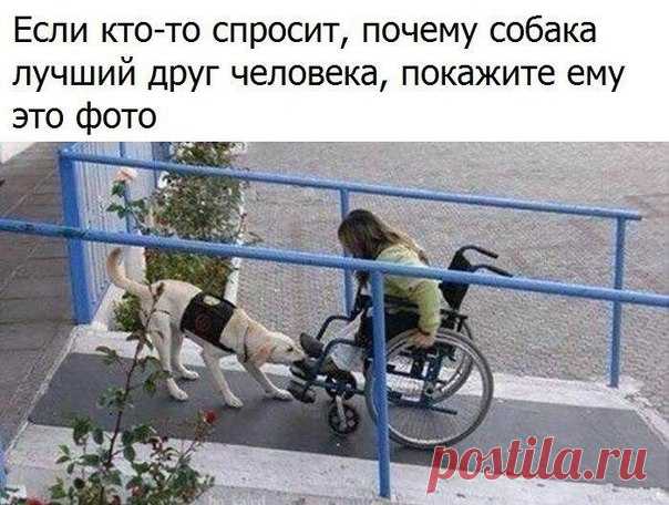 Злые мысли человечества