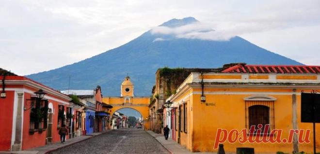 Как найти бесплатную волонтерскую программу? — TheQuestion