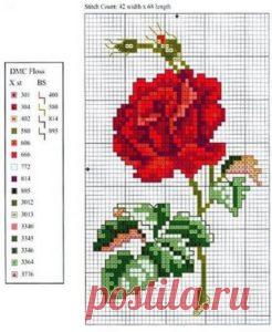Вышивка крестом розы: схемы бесплатно ~ Свое рукоделие