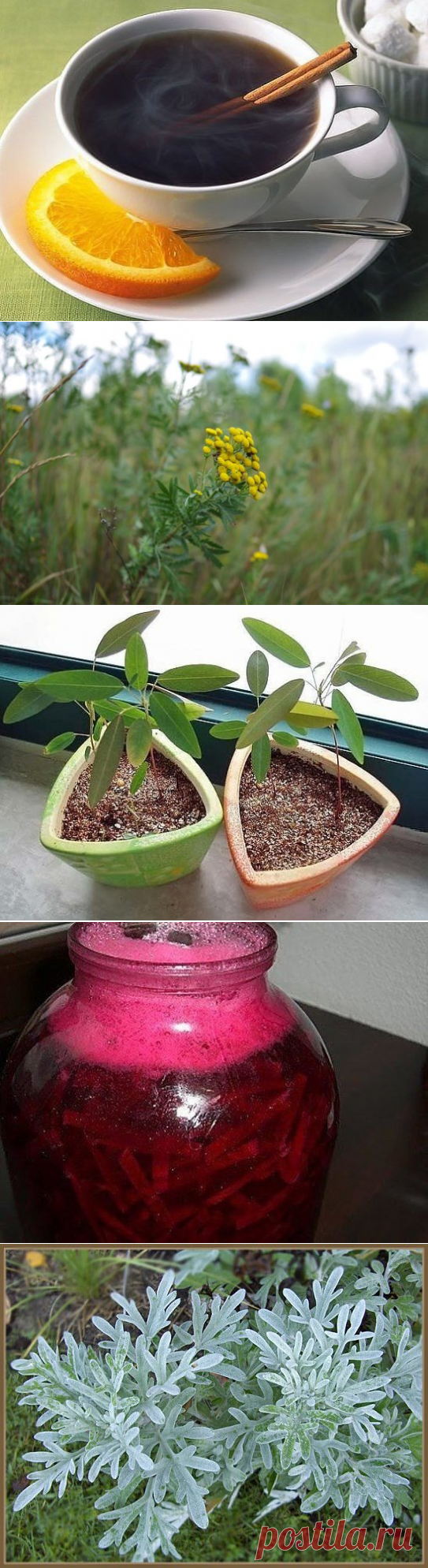 (42) Одноклассники