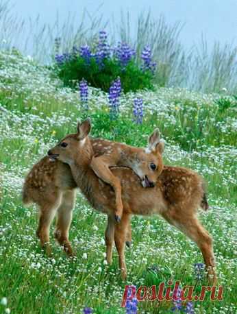 Acompañame a estar sola – Google+