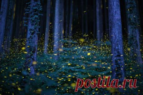 23 самых душевных фотографии, присланных на конкурс National Geographic 2015